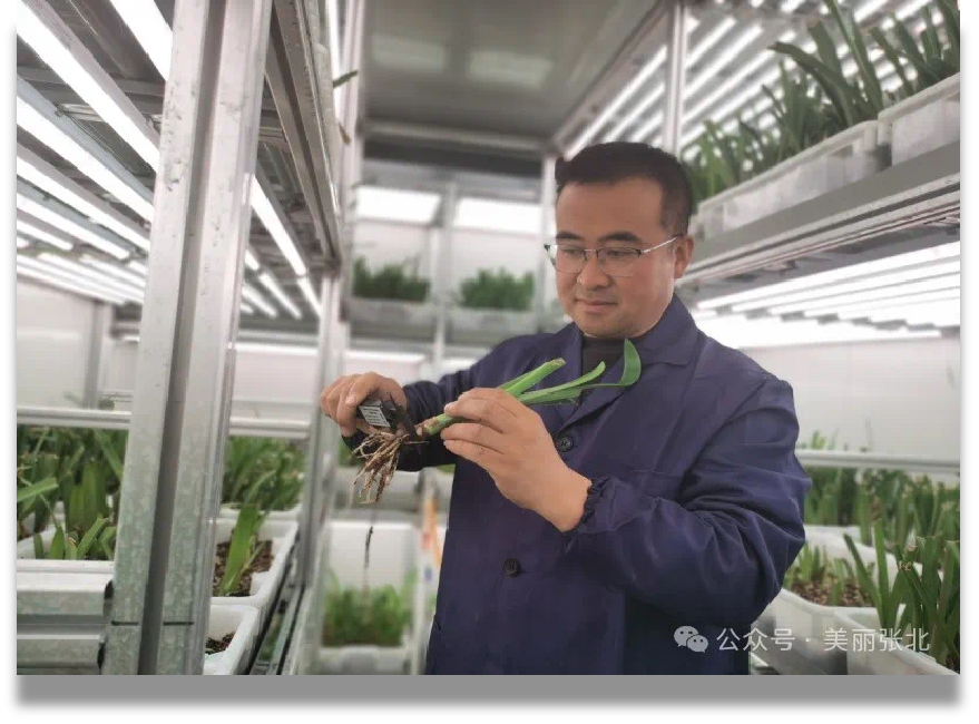 户外斜坡上的白色集装箱植物工厂